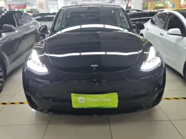 Tesla Model Y — Фото автомобиля 2