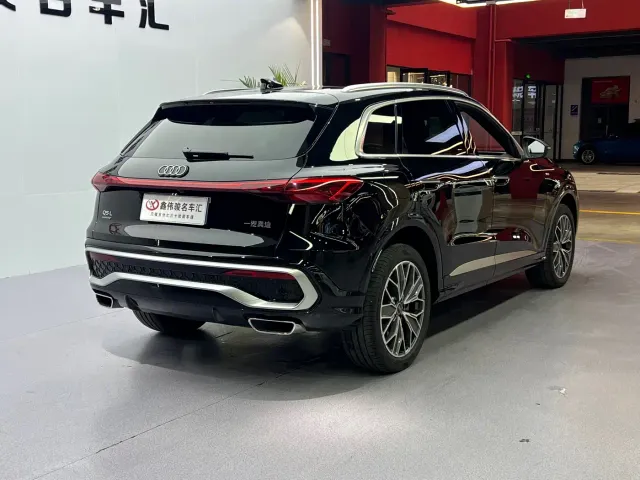 Audi Q5L — Фото автомобиля 14