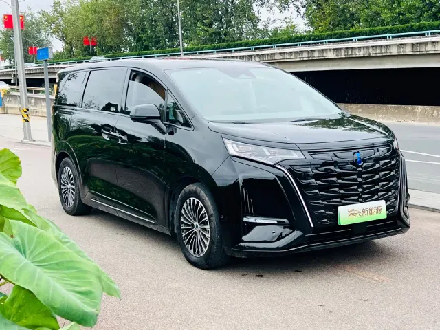 Denza D9 — Фото автомобиля 3