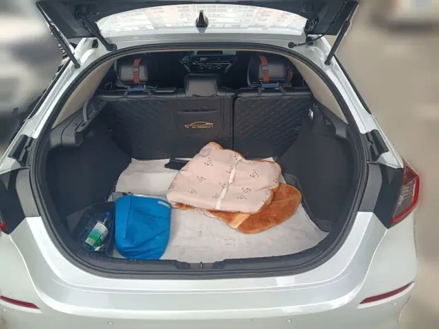 Honda Civic — Фото автомобиля 15