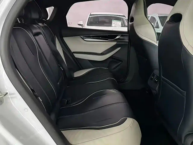 BYD Qin PLUS — Фото автомобиля 21