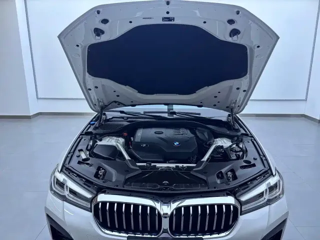 BMW 5 Series — Фото автомобиля 14