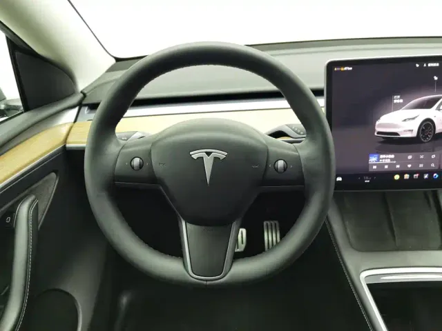 Tesla Model Y 2021 Performance High-Performance AWD — Фото автомобиля 11
