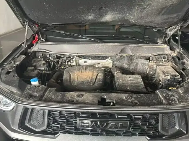 Haval Big Dog — Фото автомобиля 10