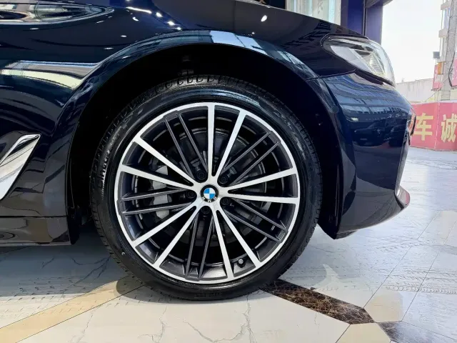 BMW BMW 5 Series 2023 530Li Leading M Sport Package — Фото автомобиля 19