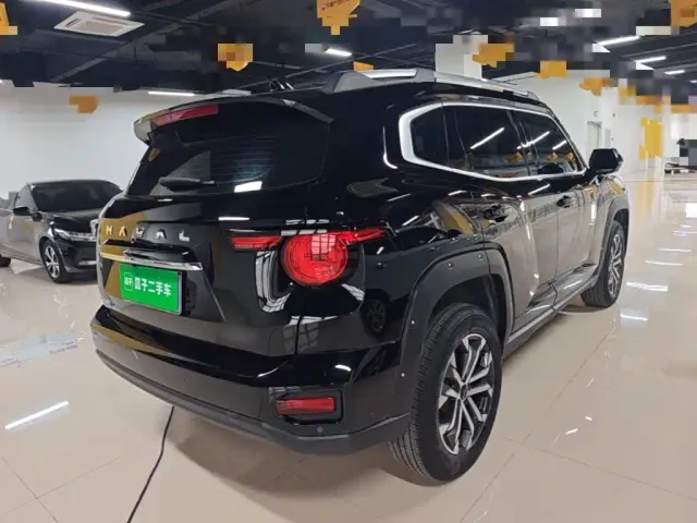 Haval Big Dog — Фото автомобиля 6