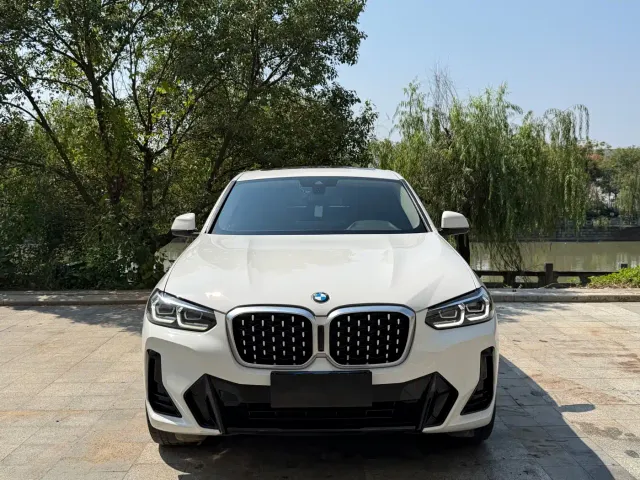 BMW X4 — Фото автомобиля 2