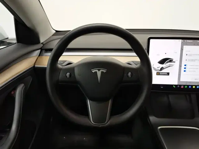 Tesla Model 3 — Фото автомобиля 11