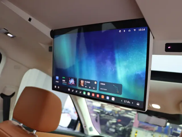 Wey Lanshan — Фото автомобиля 15
