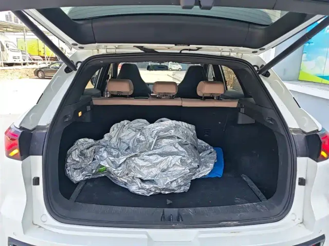 JAC Motors JAC QX PHEV — Фото автомобиля 18