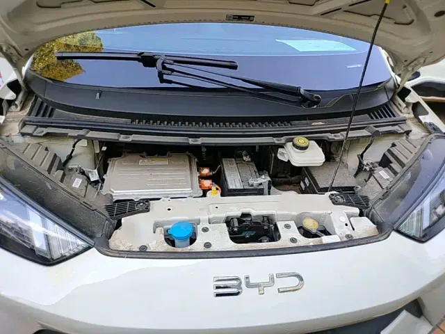BYD Seagull — Фото автомобиля 19