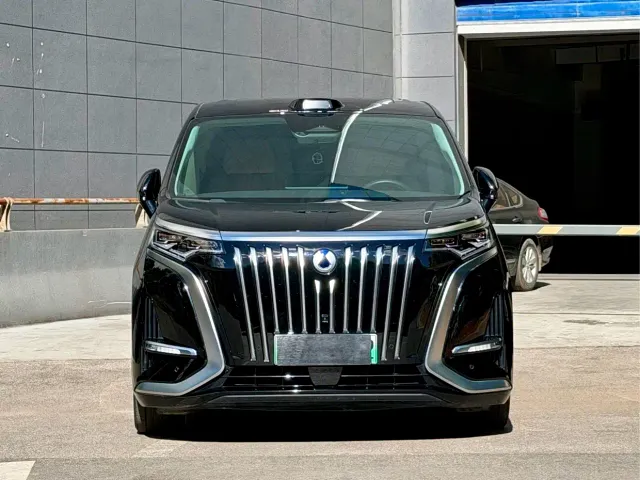 Denza D9 — Фото автомобиля 2