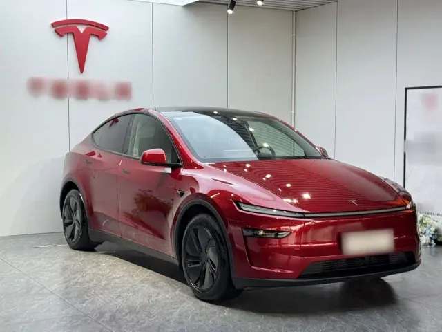 Tesla Model Y — Фото автомобиля 3