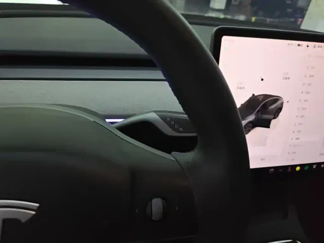 Tesla Model Y — Фото автомобиля 13