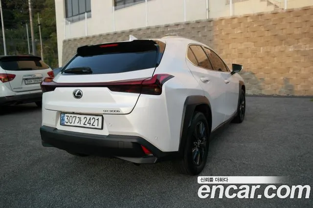 Lexus UX UX300h — Фото автомобиля 4