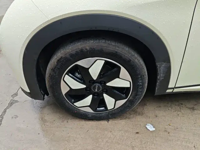 BYD Dolphin — Фото автомобиля 22