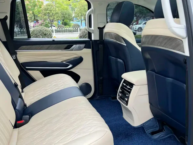 Tank Tank 500 2023 3.0T Sport Edition (5-seater) — Фото автомобиля 5