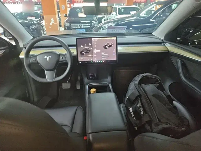 Tesla Model Y — Фото автомобиля 9