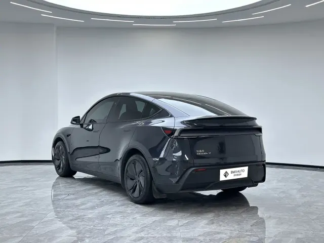 Tesla Model Y — Фото автомобиля 3