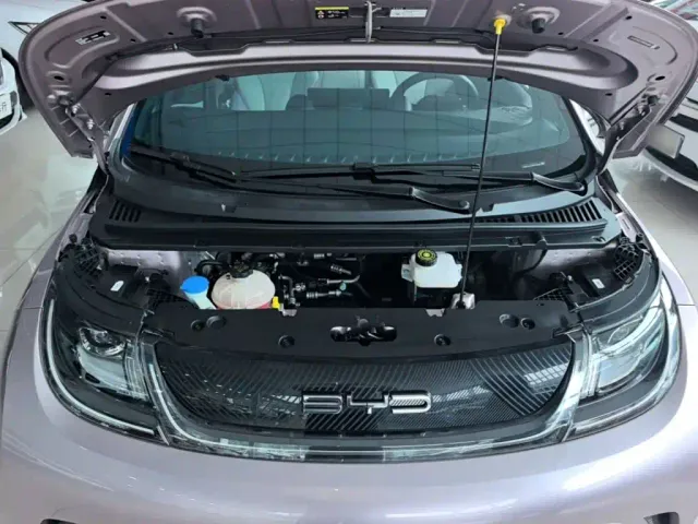 BYD Dolphin — Фото автомобиля 19
