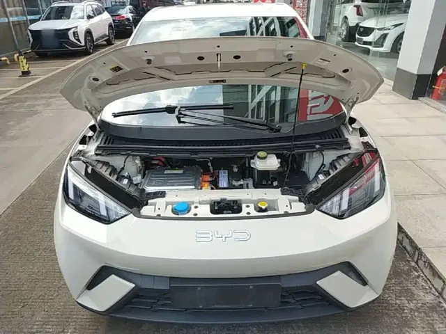 BYD Seagull — Фото автомобиля 19