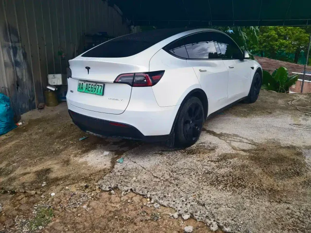 Tesla Model Y — Фото автомобиля 7