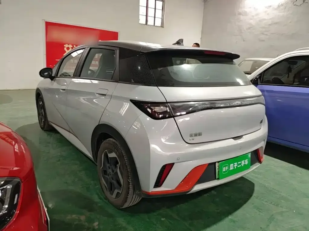 BYD Dolphin 2021 405km Freedom Edition — Фото автомобиля 4