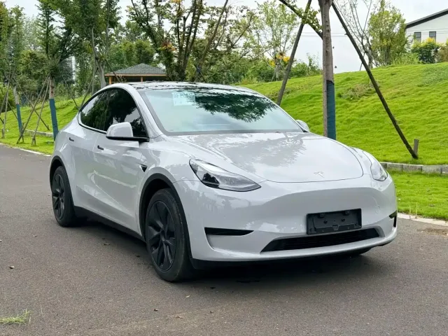 Tesla Model Y — Фото автомобиля 2