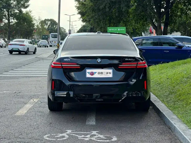 BMW 5 Series — Фото автомобиля 5