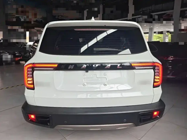 Haval Haval Big Dog 2021 1.5T DCT 2WD Border Collie Edition — Фото автомобиля 5