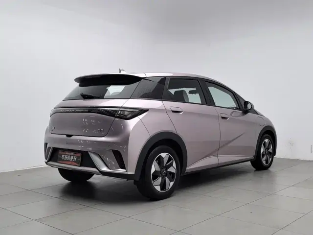 BYD Dolphin — Фото автомобиля 2