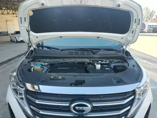 GAC Trumpchi M8 — Фото автомобиля 19