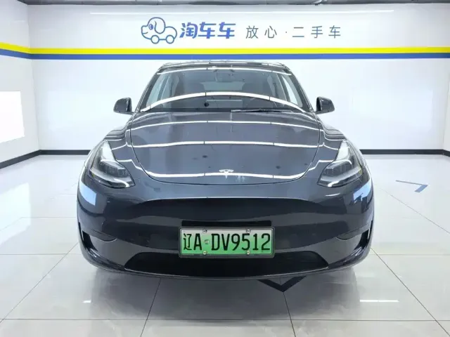 Tesla Model Y — Фото автомобиля 2