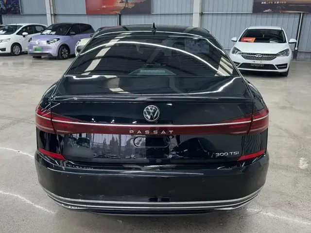 Volkswagen Passat — Фото автомобиля 14