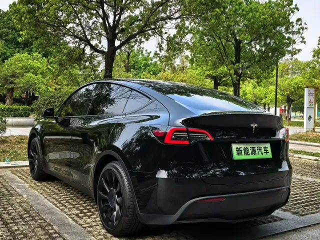 Tesla Model Y 2021 Standard Range Rear-Wheel Drive — Фото автомобиля 4