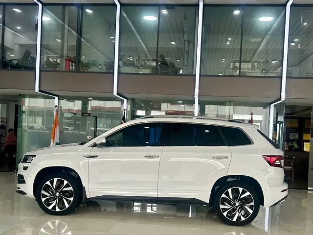 Skoda Karoq — Фото автомобиля 7