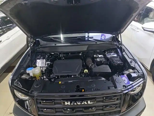 Haval Big Dog — Фото автомобиля 19