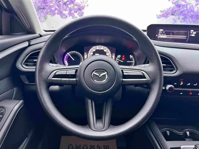 Mazda Mazda CX-30 EV 2021 Pure Electric Enjoyment Edition — Фото автомобиля 14