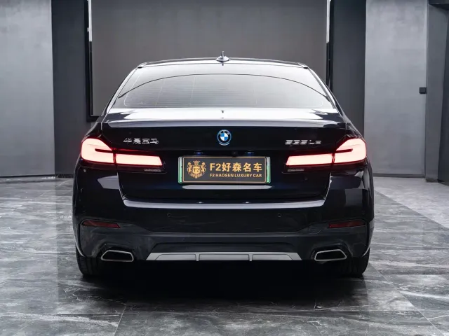 BMW 5 Series — Фото автомобиля 11