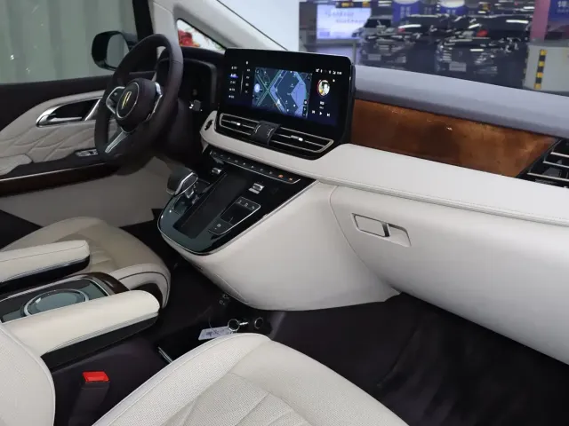 Hongqi Hongqi HQ9 2023 2.0T Smart Connect Flagship — Фото автомобиля 9