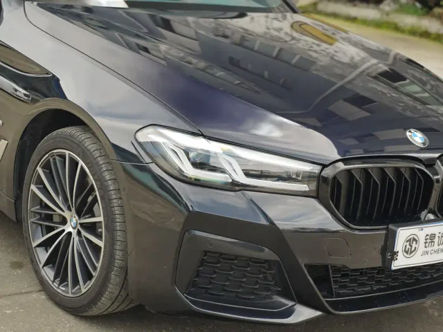 BMW 5 Series — Фото автомобиля 10