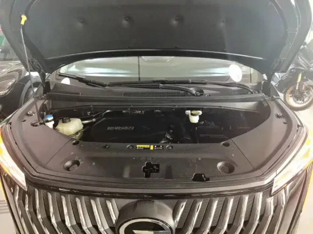GAC Trumpchi M8 — Фото автомобиля 19