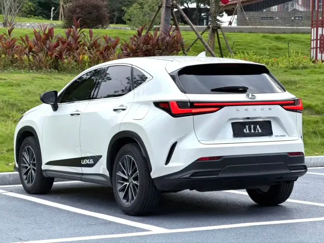 Lexus NX — Фото автомобиля 6