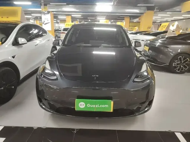 Tesla Model Y — Фото автомобиля 2