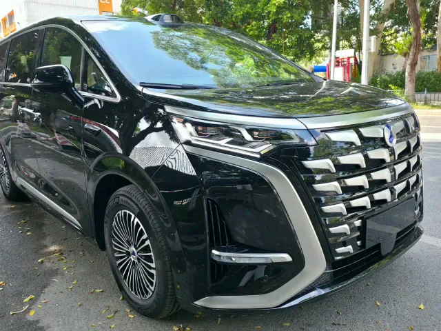Фотография автомобиля — Denza D9
