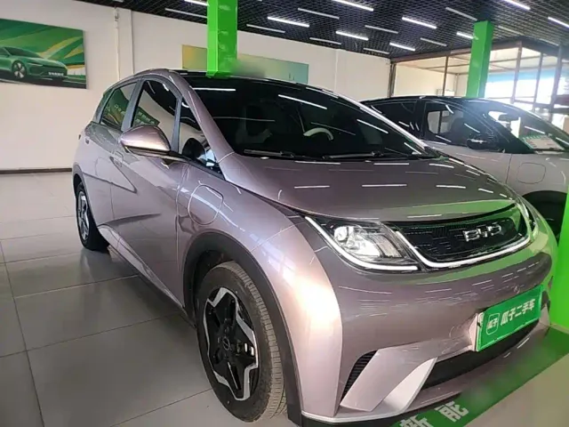 BYD Dolphin — Фото автомобиля 3