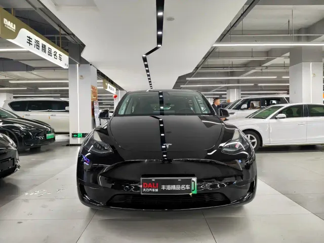 Tesla Model Y — Фото автомобиля 2