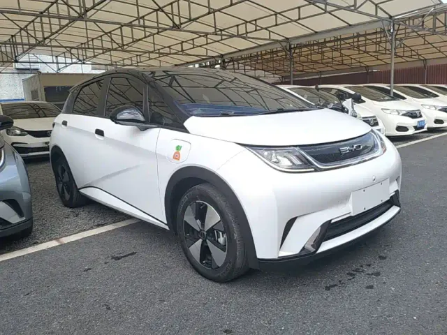 BYD Dolphin — Фото автомобиля 3