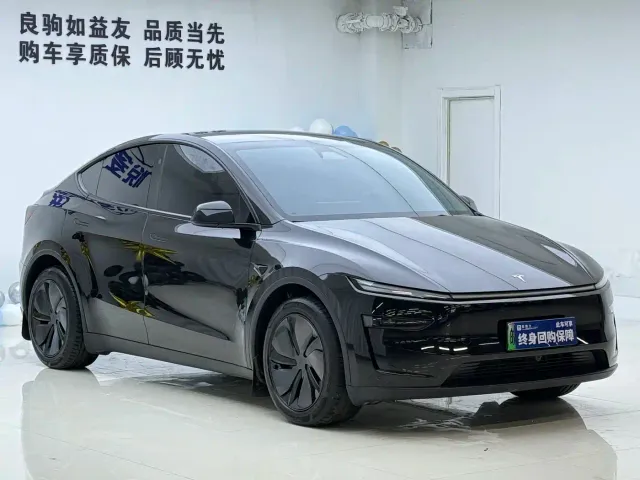 Tesla Model Y — Фото автомобиля 3