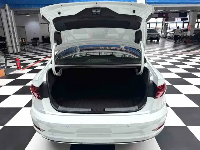 Volkswagen Sagitar — Фото автомобиля 16